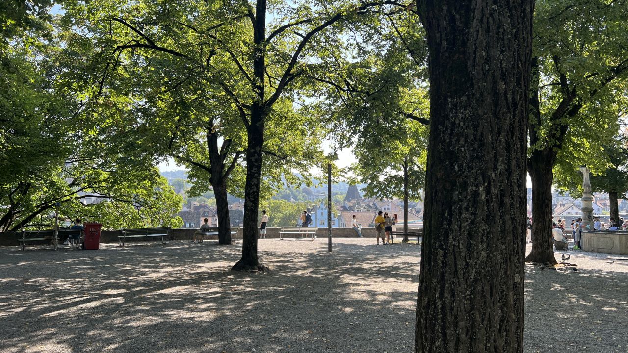 Menschen stehen und gehen in einem schattigen Park mit großen Bäumen und blicken auf eine Stadtlandschaft, die durch die Äste im Hintergrund sichtbar ist.