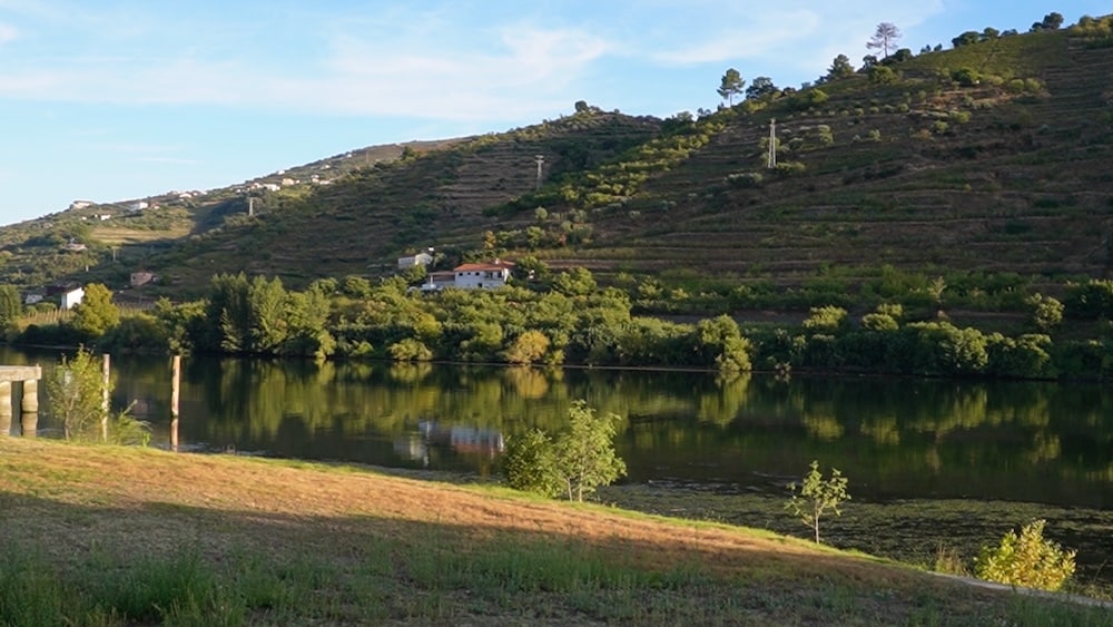 Ein Fluss fließt entlang terrassierter Hügel mit Weinbergen und verstreuten Häusern unter einem teilweise bewölkten Himmel.