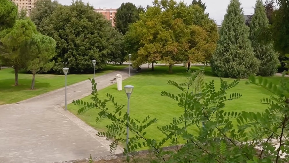 Ein Park mit grünem Rasen, hohen Bäumen, Laternen, Gehwegen und einigen Gebäuden, die sich im Hintergrund abzeichnen.