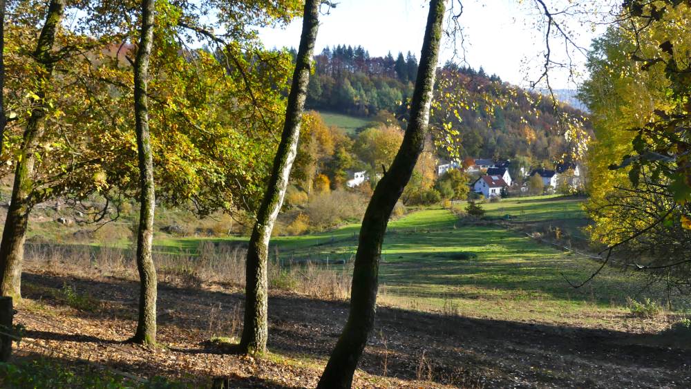 Blick in ein grünes Tal in NRW.